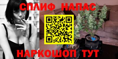 хмурый Малоярославец