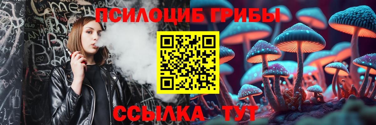 Галлюциногенные грибы GOLDEN TEACHER  Вход с VPN  Северобайкальск 